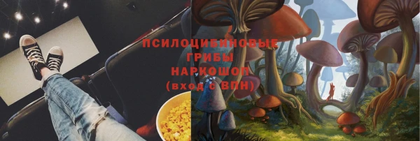 дурь Алзамай