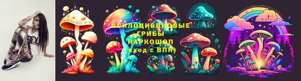 дурь Алзамай