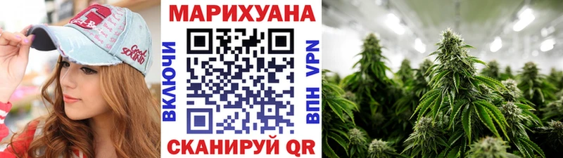 Бошки Шишки план  Краснообск 